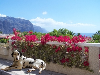 Ferienhaus Urlaub mit Hund auf Sardinien
