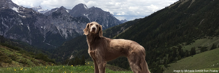 Sölden Ferienhaus mit Hund, Ferienwohnung im Öztal in Österreich